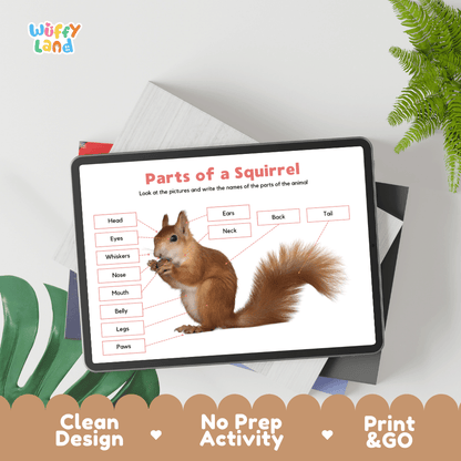 Educational cut and paste squirrel anatomy worksheet with cut-out word labels for head, ears, whiskers, paws, and tail