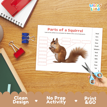 Printable animal body parts worksheet showing a realistic squirrel with blank labeling boxes and a word bank for writing practice