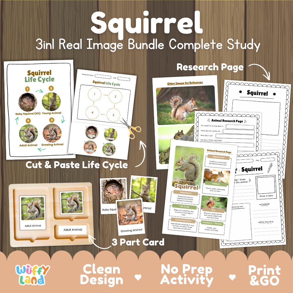 Squirrel 3-in-1 real image bundle complete study cover showing cut and paste life cycle, 3 part cards, and research pages