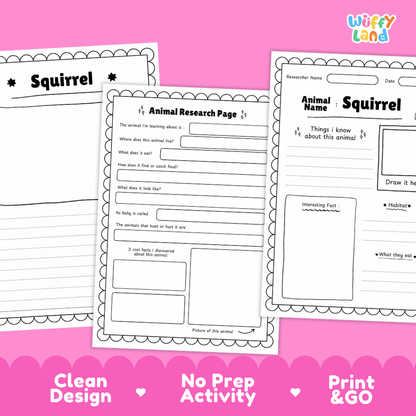 Three printable animal research worksheet pages for squirrels arranged on a bright pink background with decorative scalloped borders and text reading 'Clean Design', 'No Prep Activity', and 'Print & GO'. The top-right corner shows the brand name 'Wiffy Land'.