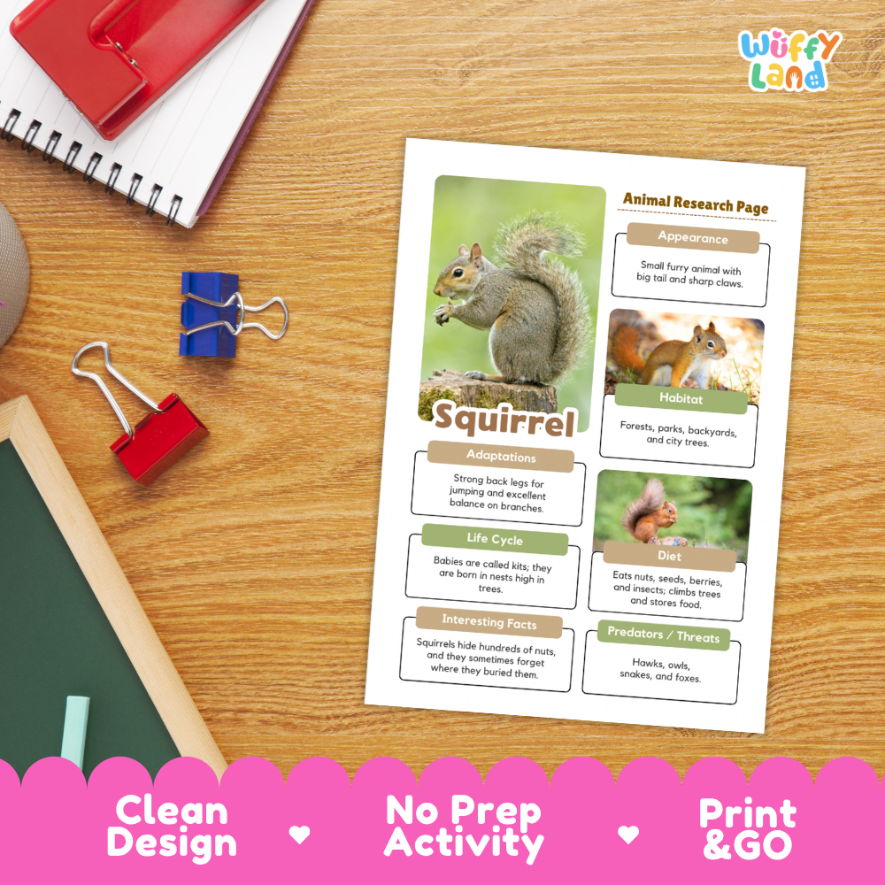 An educational animal research page about a squirrel printed on a white sheet, placed on a wooden desk with notebooks, binder clips, and a chalkboard visible. The sheet includes a large squirrel photo, text sections, and a colorful 'Wiffly land' logo at the top right.