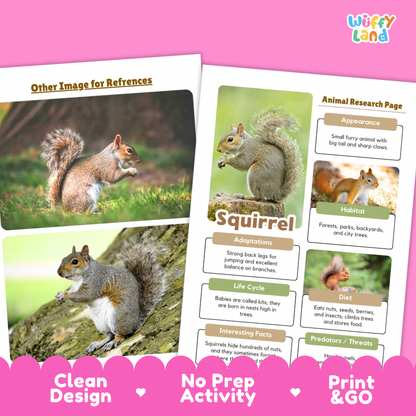 Two educational activity sheets for learning about squirrels, displayed on a bright pink background. The left sheet shows two reference images of a squirrel, and the right sheet is an animal research page titled 'Squirrel' with facts about appearance, habitat, attention, life cycle, diet, and predators.