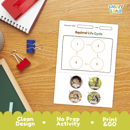 Squirrel Life Cycle Poster and Cut and Paste Activity Worksheets