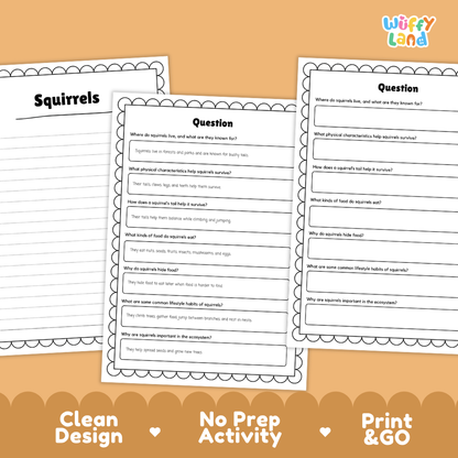 Three printable worksheet pages about squirrels are shown on an orange background with promotional text reading 'Clean Design', 'No Prep Activity', and 'Print & GO'. The worksheets have a white page background with black text and decorative border lines.