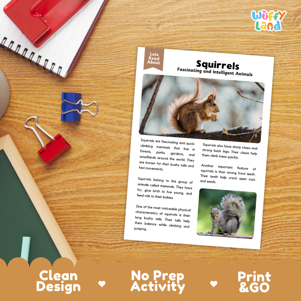 An educational activity sheet titled 'Squirrels Fascinating and Intelligent Animals' displayed on a wooden desk with a spiral notebook, binder clips, and colored blocks. The sheet features text, images of squirrels, and a 'Wiffly Land' logo in the top right corner.