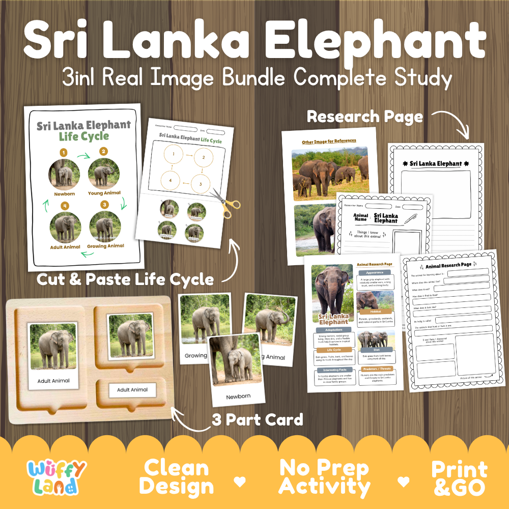 Sri Lanka elephant 3-in-1 real image bundle complete study cover showing cut and paste life cycle, 3 part cards, and research pages
