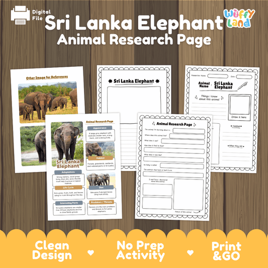 Clean design no prep print and go Sri Lanka elephant Asian mammal herbivore animal life cycle study printable PDF pack for elementary science