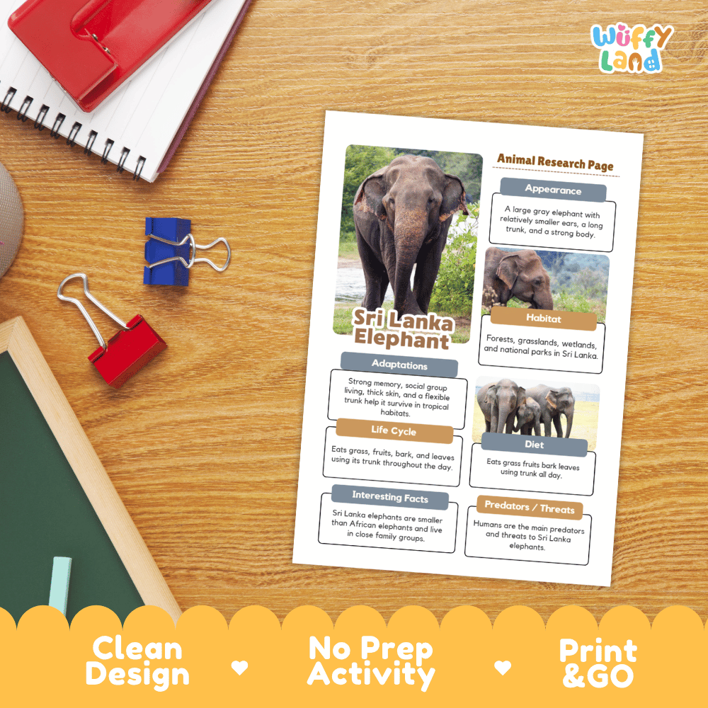 Sri Lanka Elephant Animal Research Worksheets and Informational Fact Sheets