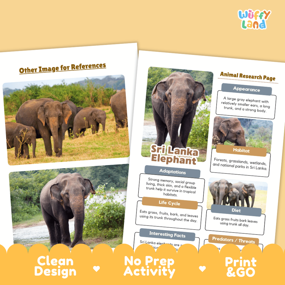 Sri Lanka Elephant Animal Research Worksheets and Informational Fact Sheets