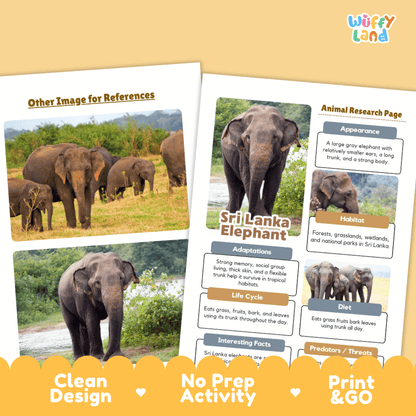Sri Lanka Elephant Animal Research Worksheets and Informational Fact Sheets