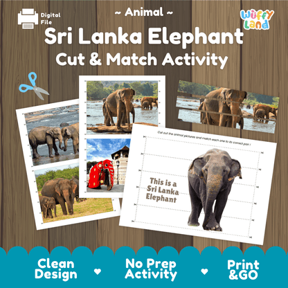 Sri Lanka Elephant Cut and Match Activity Worksheets | Asian Wildlife Puzzle Printables