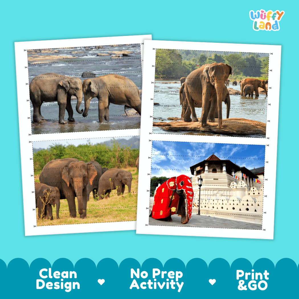 Sri Lanka Elephant Cut and Match Activity Worksheets | Asian Wildlife Puzzle Printables