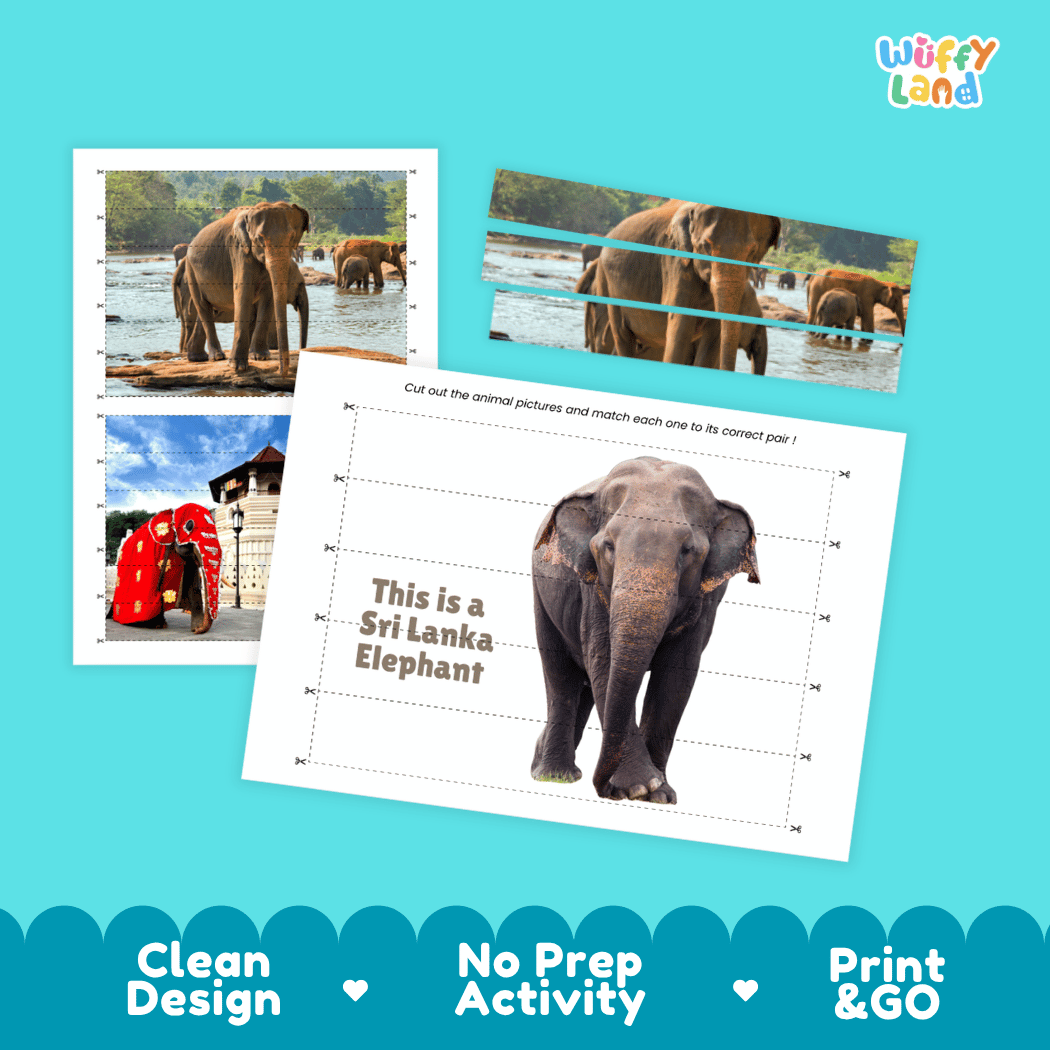 Sri Lanka Elephant Cut and Match Activity Worksheets | Asian Wildlife Puzzle Printables