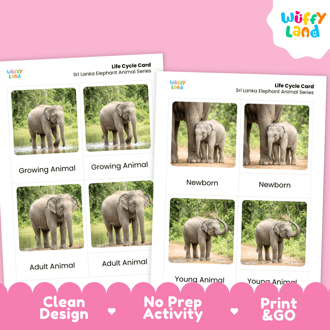 Two printable educational cards for Sri Lanka Elephant Animal Series by Wiffy Land, showing labeled photos of elephants at different ages on a pink background with promotional text.
