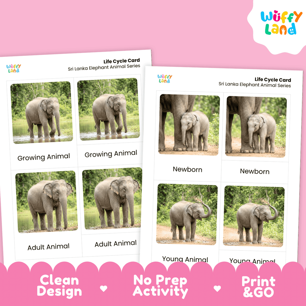 Two printable educational cards for Sri Lanka Elephant Animal Series by Wiffy Land, showing labeled photos of elephants at different ages on a pink background with promotional text.