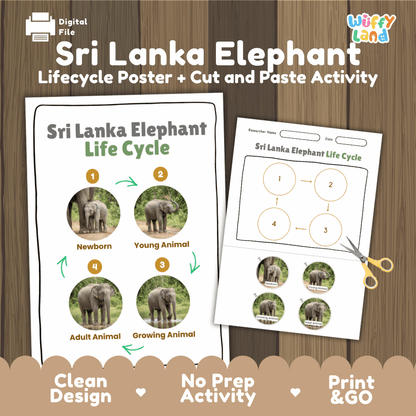 Sri Lanka Elephant Life Cycle Poster and Cut and Paste Activity Worksheets