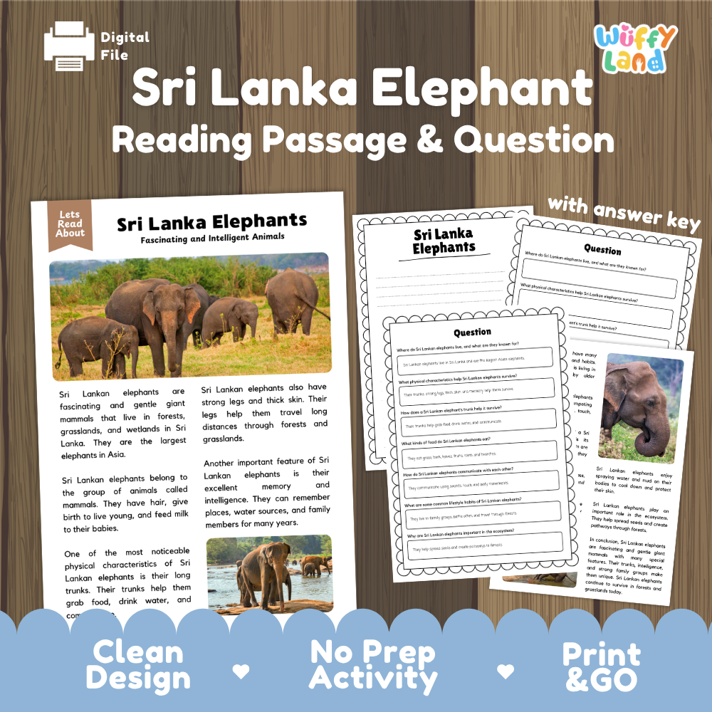 Sri Lanka Elephant Reading Passage and Comprehension Questions with Answer Key Worksheets