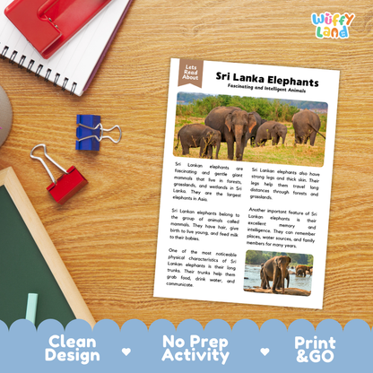 Sri Lanka Elephant Reading Passage and Comprehension Questions with Answer Key Worksheets