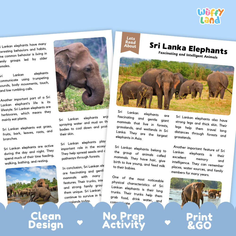 Educational poster about Sri Lanka elephants from the 'Wuffly Land' series, featuring a colorful header, a central photo of elephants in a forest, and a blue footer with text reading 'Clean Design', 'No Activity', and 'Print & Go'.
