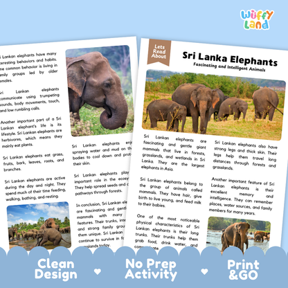 Educational poster about Sri Lanka elephants from the 'Wuffly Land' series, featuring a colorful header, a central photo of elephants in a forest, and a blue footer with text reading 'Clean Design', 'No Activity', and 'Print & Go'.