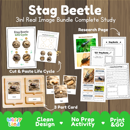 Stag Beetle 3-in-1 real image bundle complete study cover showing cut and paste life cycle, 3 part cards, and research pages