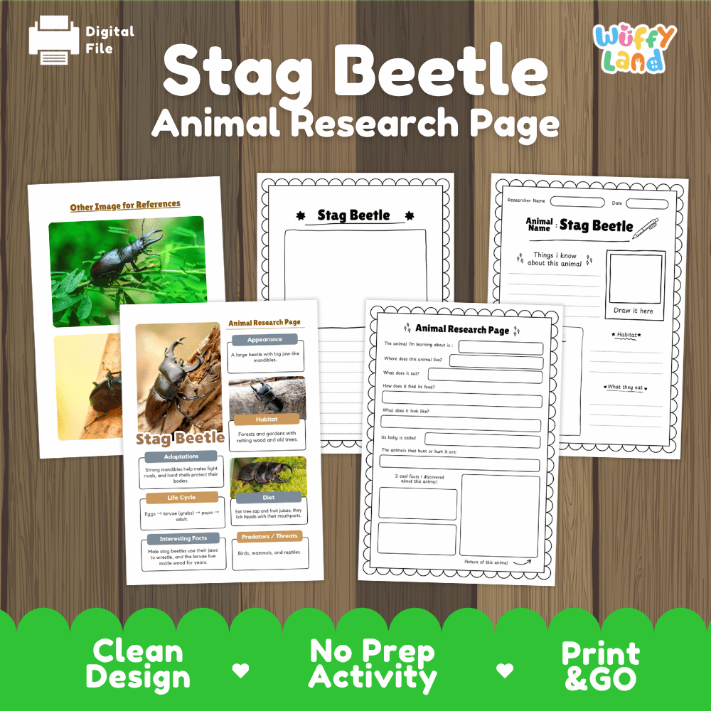 Stag Beetle Animal Research Worksheets and Informational Fact Sheets