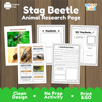 Stag Beetle Animal Research Worksheets and Informational Fact Sheets