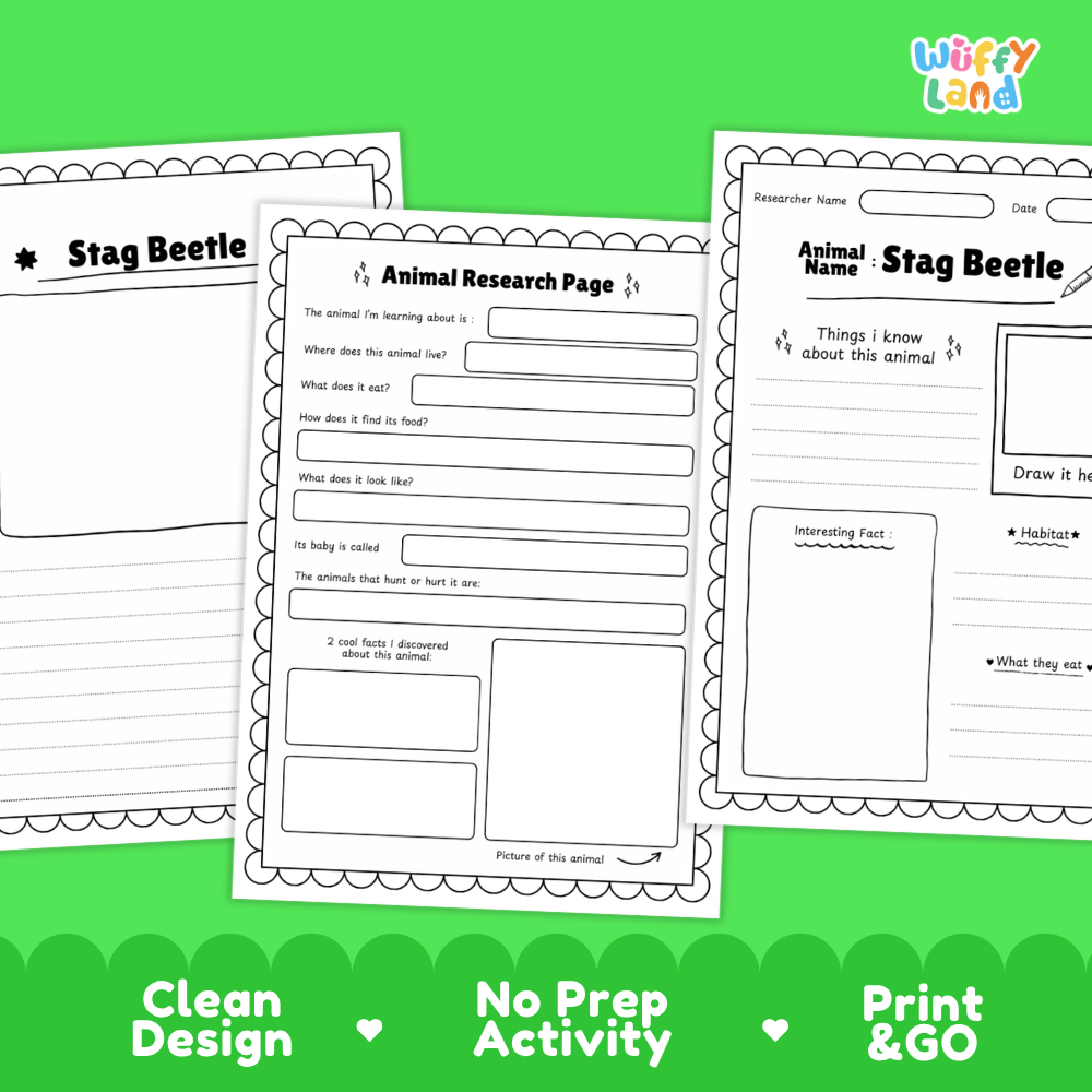 Stag Beetle Animal Research Worksheets and Informational Fact Sheets