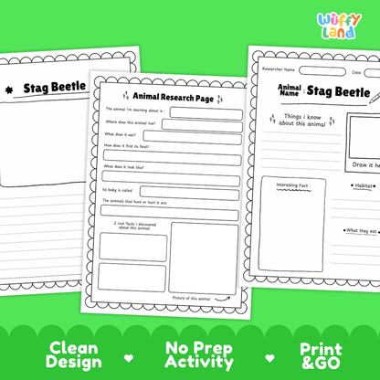 Stag Beetle Animal Research Worksheets and Informational Fact Sheets