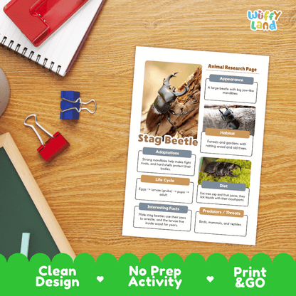 Stag Beetle Animal Research Worksheets and Informational Fact Sheets