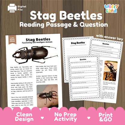 Digital educational activity sheet set about stag beetles, including a reading passage, comprehension questions, and an answer key, displayed on a wood background with promotional text at the bottom.