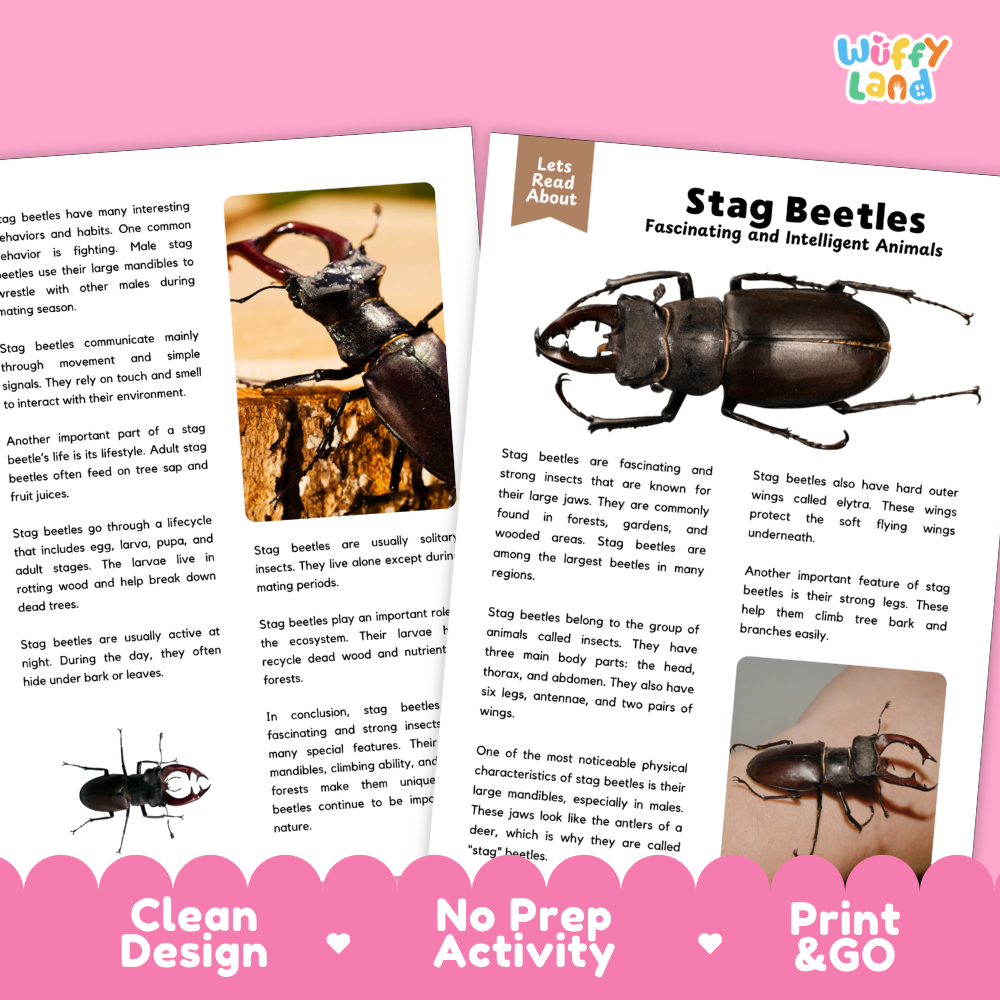 A product listing graphic for a stop beetle safety helmet. The graphic features a white and light blue printed helmet on the left, with three small inset photos demonstrating its use in the wild.