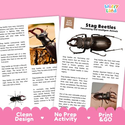 A product listing graphic for a stop beetle safety helmet. The graphic features a white and light blue printed helmet on the left, with three small inset photos demonstrating its use in the wild.