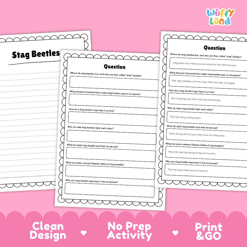 Stag Beetles Reading Passage and Comprehension Questions Worksheets with Answer Key