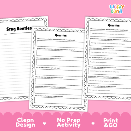 Stag Beetles Reading Passage and Comprehension Questions Worksheets with Answer Key