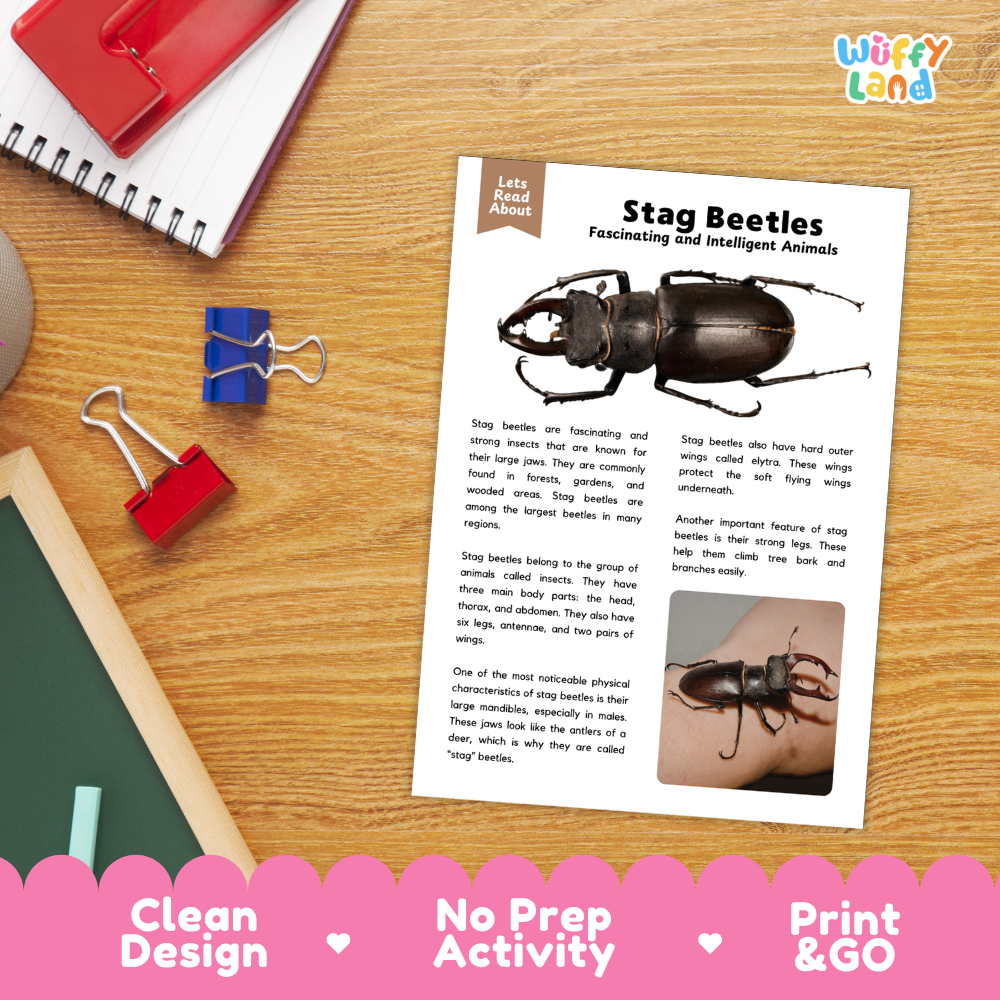 Stag Beetles Reading Passage and Comprehension Questions Worksheets with Answer Key