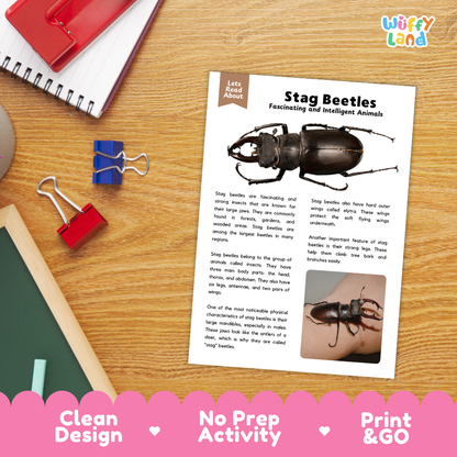 Stag Beetles Reading Passage and Comprehension Questions Worksheets with Answer Key