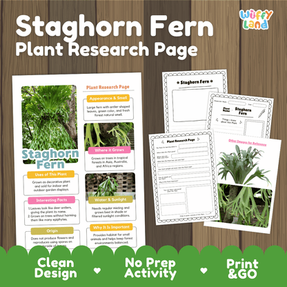 Staghorn Fern Plant Research Page Worksheets and Fact Sheet