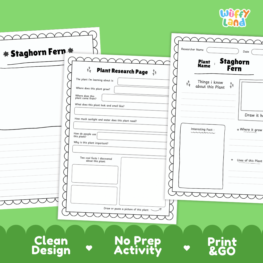 Staghorn Fern Plant Research Page Worksheets and Fact Sheet