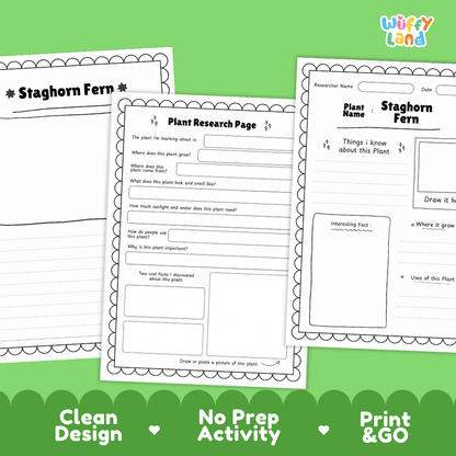 Staghorn Fern Plant Research Page Worksheets and Fact Sheet