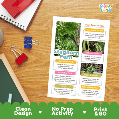 Staghorn Fern Plant Research Page Worksheets and Fact Sheet