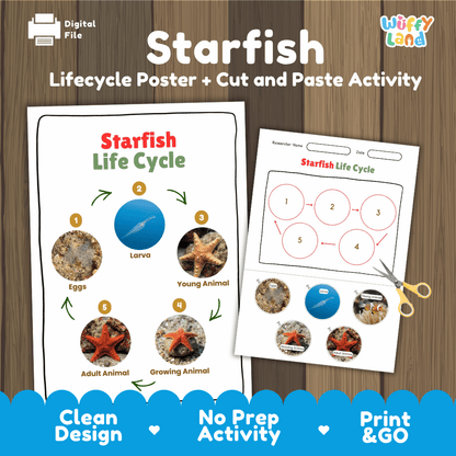 Starfish Life Cycle Poster and Cut and Paste Activity Worksheets