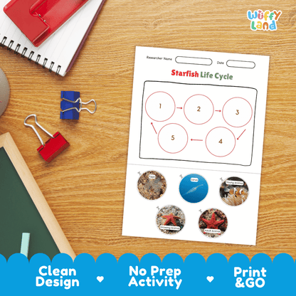 Starfish Life Cycle Poster and Cut and Paste Activity Worksheets