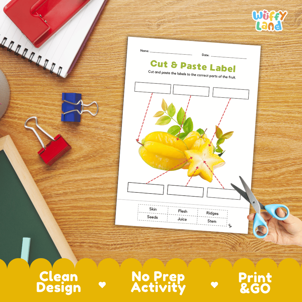 Differentiated starfruit labeling worksheets featuring write-in callout boxes and vocabulary word bank