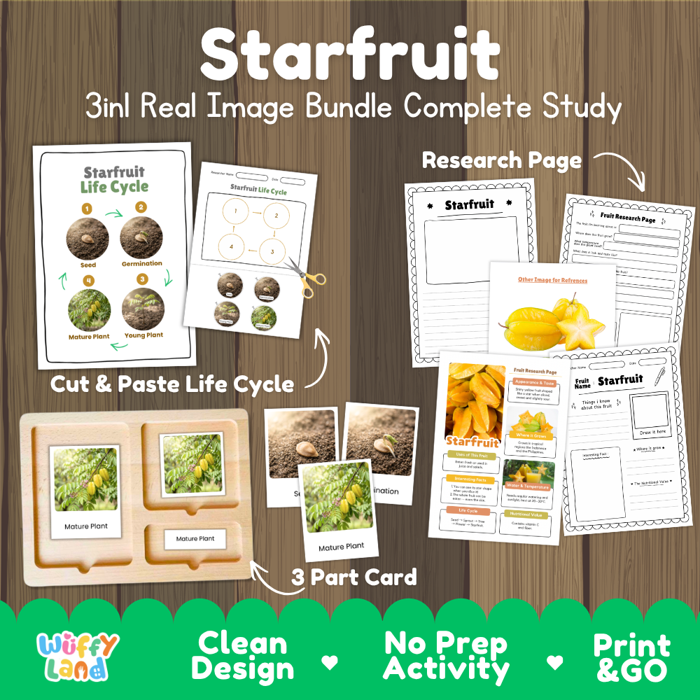 Starfruit 3-in-1 real image bundle complete study cover showing cut and paste life cycle, 3 part cards, and research pages
