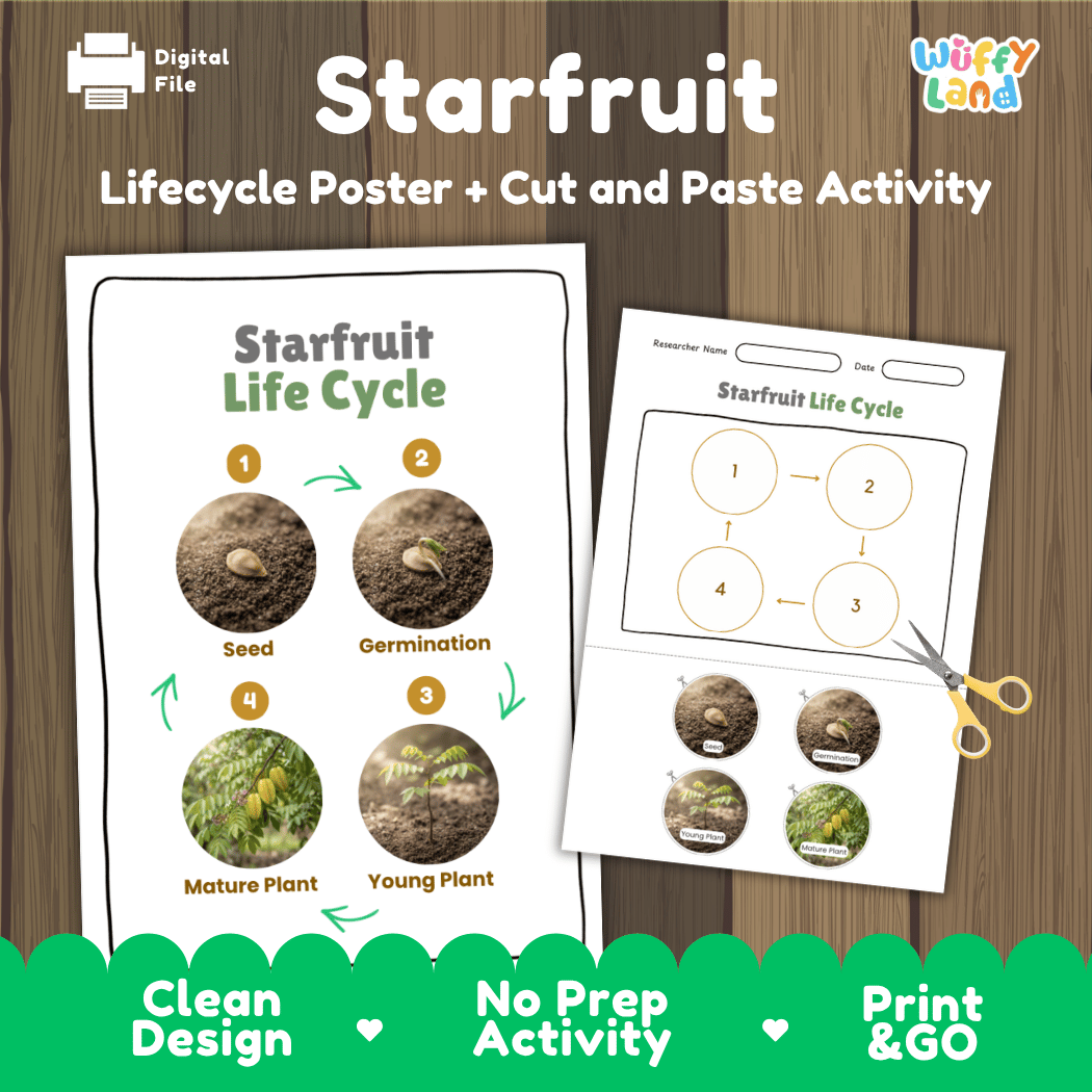 Starfruit carambola plant life cycle educational poster and cut and paste printable sequencing activity featuring real photos for elementary science