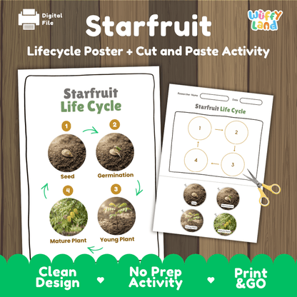 Starfruit carambola plant life cycle educational poster and cut and paste printable sequencing activity featuring real photos for elementary science
