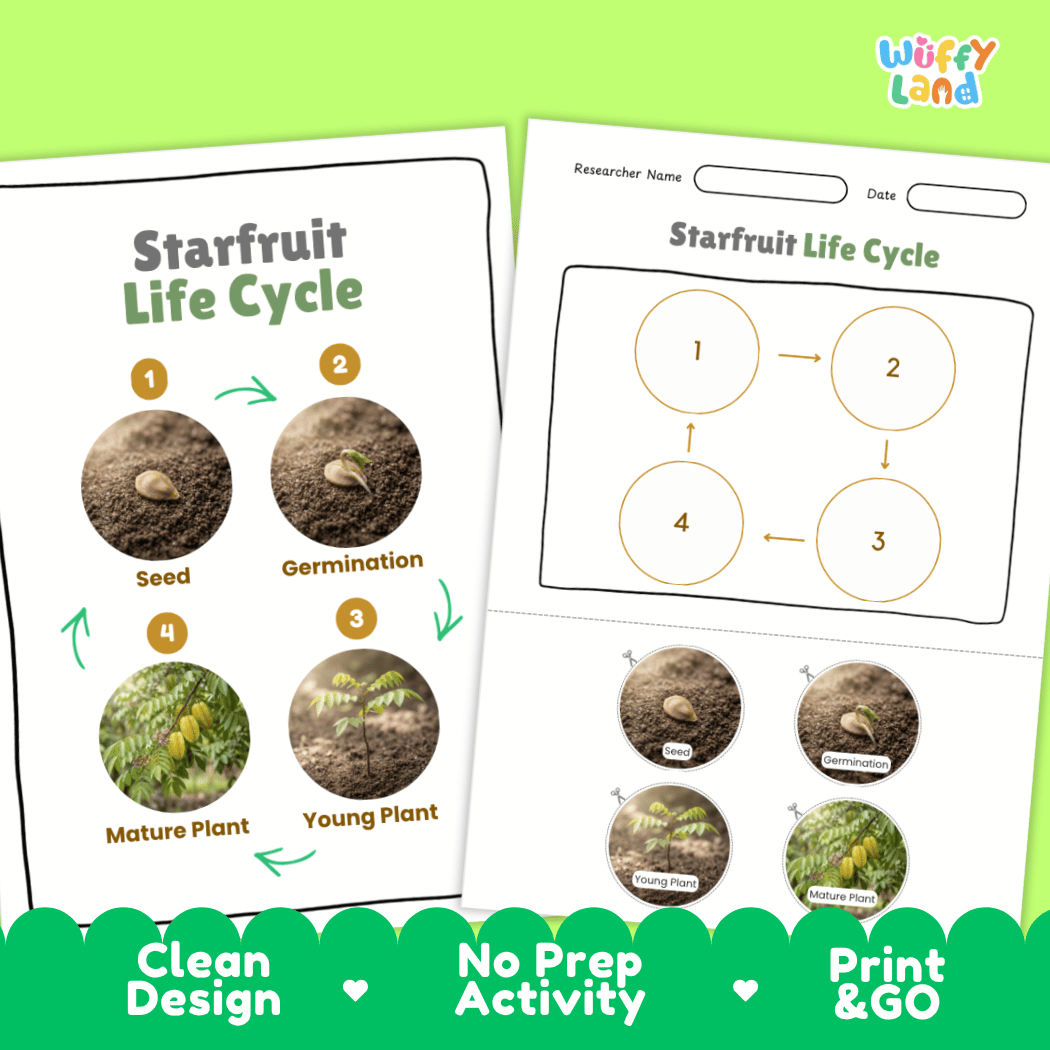 Print and go digital PDF plant science activity featuring clean design layout, researcher name line, and zero prep classroom format