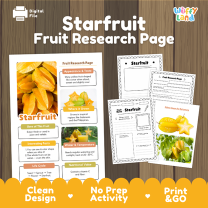 Starfruit Fruit Research Page Worksheets and Fact Sheet