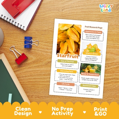 A printed fruit research page about starfruit lies on a wooden desk, surrounded by school supplies like a spiral notebook, binder clips, and a red folder. The page has colorful text boxes, a fruit photo, and sections for attributes, uses, facts, water/temperature, and nutritional value.